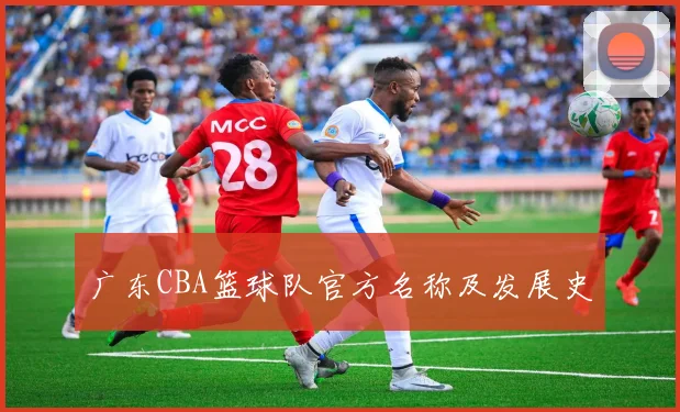 广东CBA篮球队官方名称及发展史