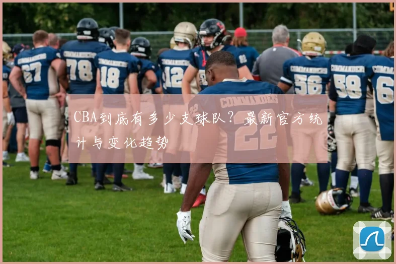CBA到底有多少支球队?最新官方统计与变化趋势
