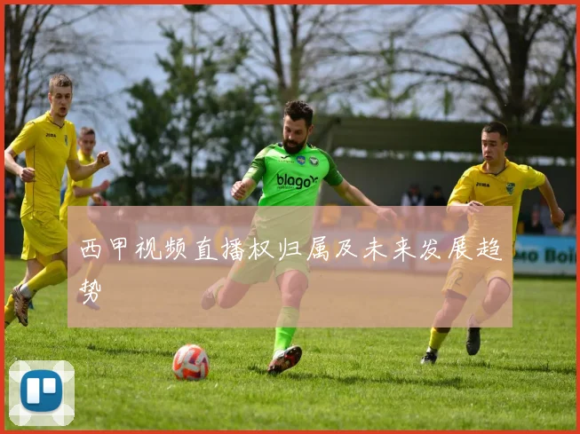 西甲视频直播权归属及未来发展趋势